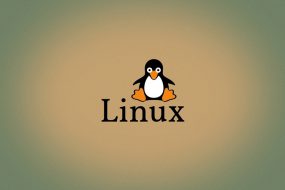 【0基础7天学会自己建网站】第6天:Linux培训