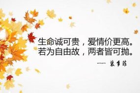 让自己活得自由一些,才不枉此生